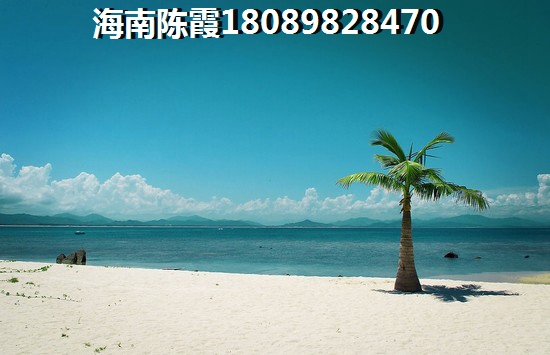 海口西海岸房价怎么走1